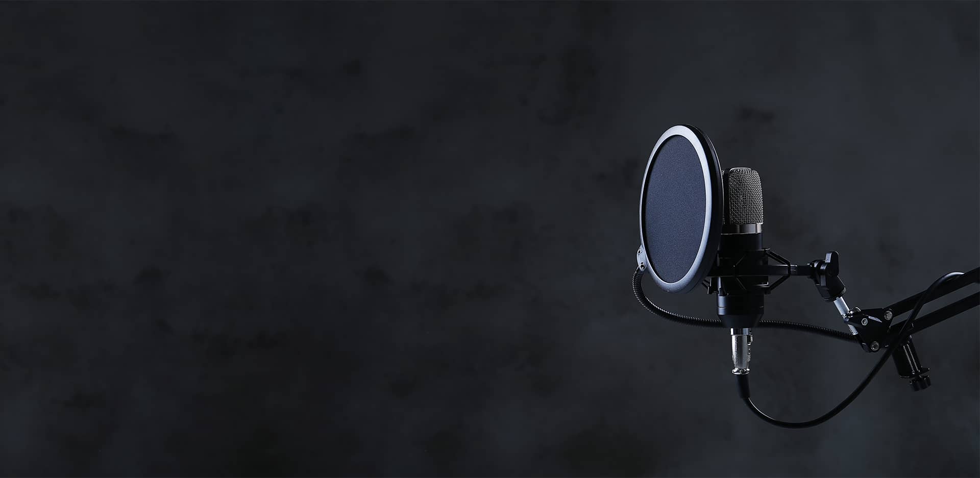Studio microphone