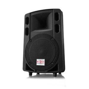 EX108V passive speaker