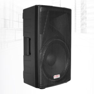 EXXO Professional EX15T 15-inch powered speaker, front view with steel grille